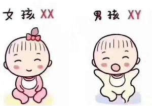 現在泰國試管多少錢