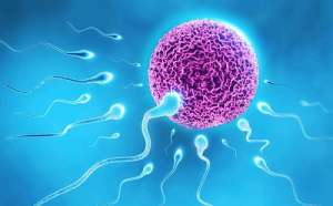 第三代試管嬰兒大概費用與明細