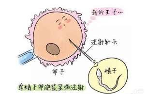 做試管嬰兒去哪家醫(yī)院最好