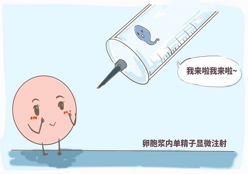 美國(guó)做試管嬰兒到底要花多少錢