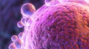 泰國試管嬰兒總費(fèi)用多少